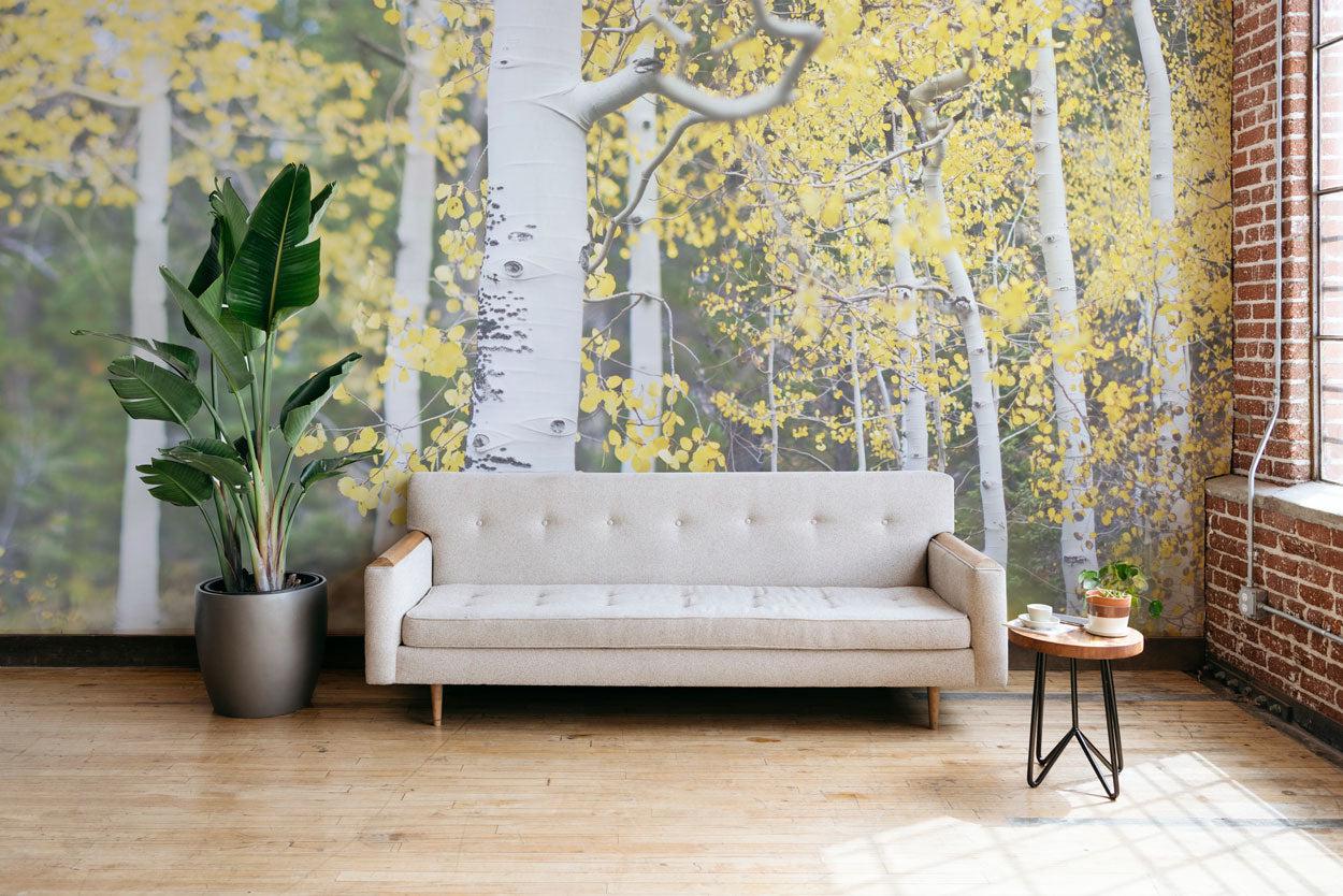 Aspen Trees wall Mural Wall Mural-Wall Mural-Eazywallz