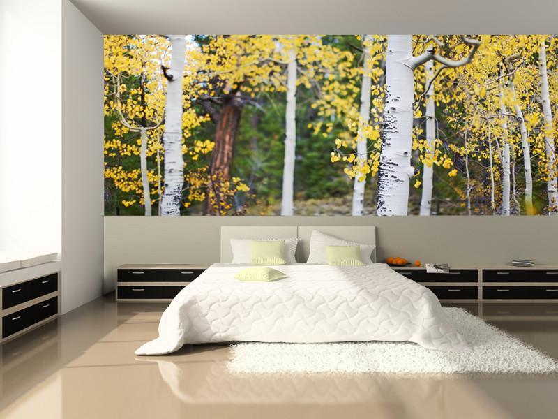 Aspen Trees wall Mural Wall Mural-Wall Mural-Eazywallz