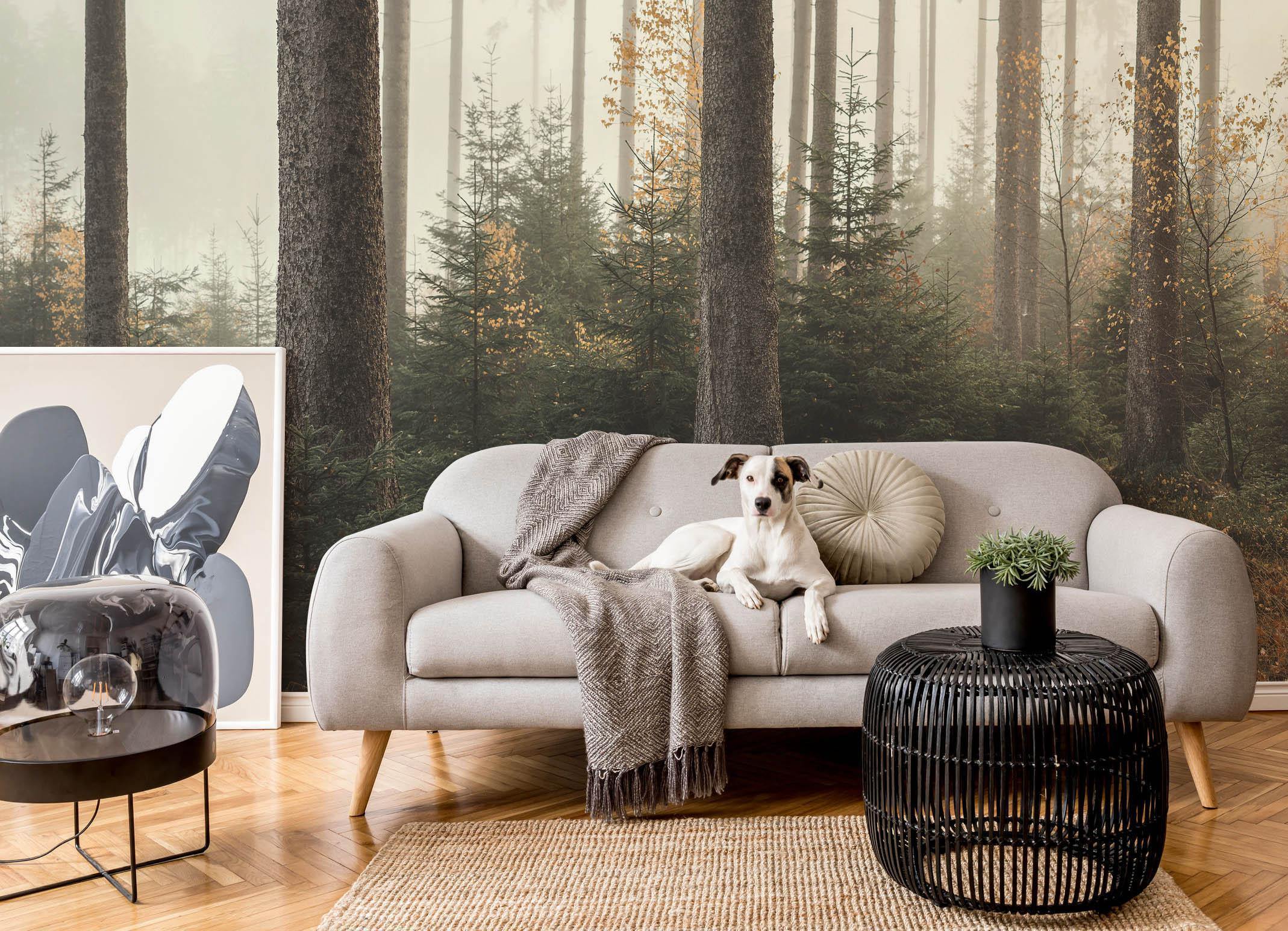 Autumn Forest 2 Wall Mural-Wall Mural-Eazywallz