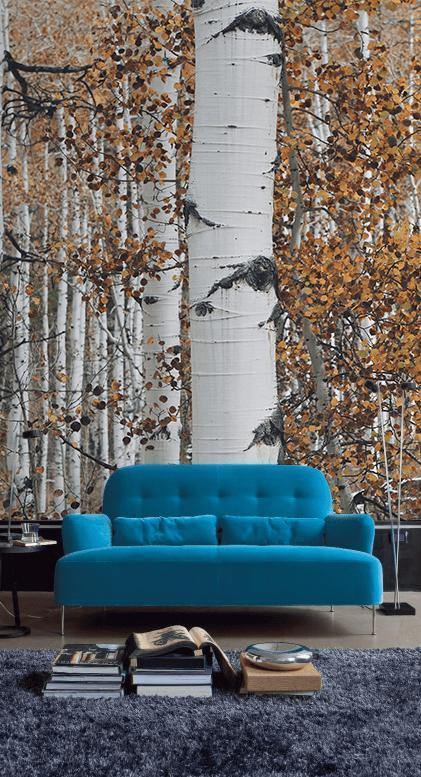Autumn Forest Wall Mural-Wall Mural-Eazywallz