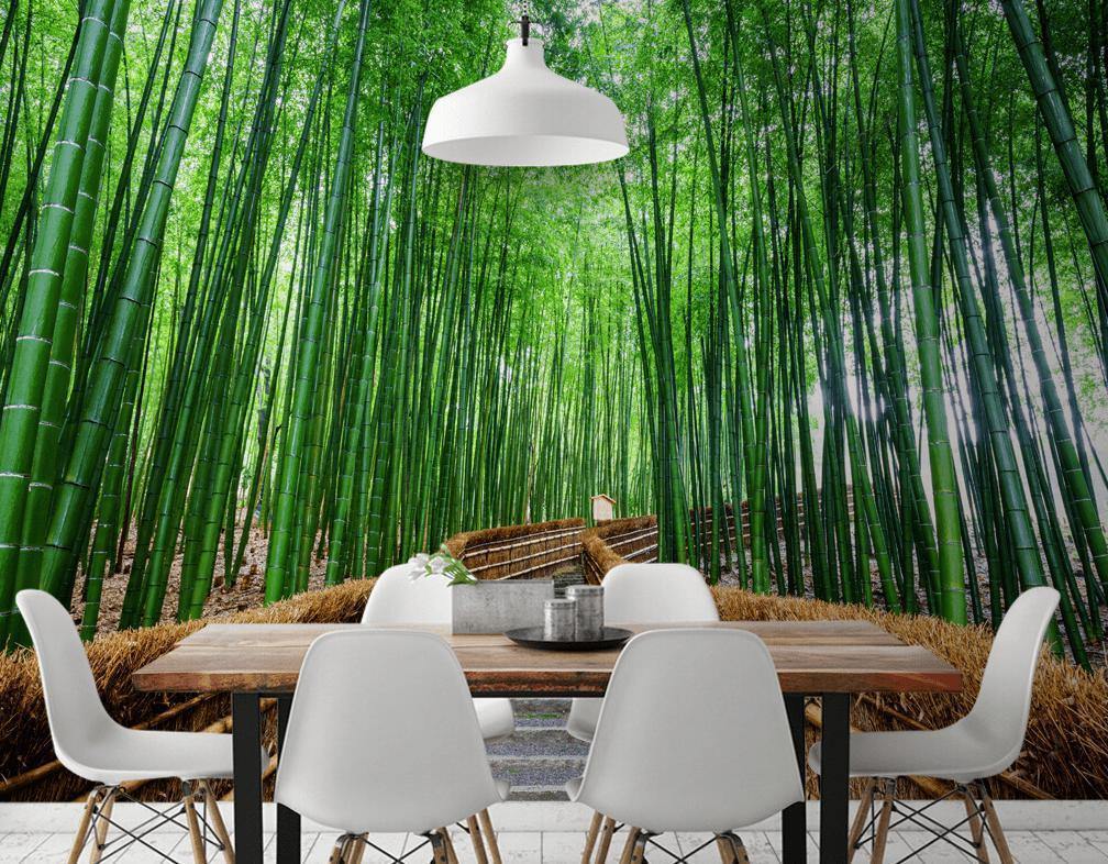 Bamboo grove Wall Mural-Wall Mural-Eazywallz