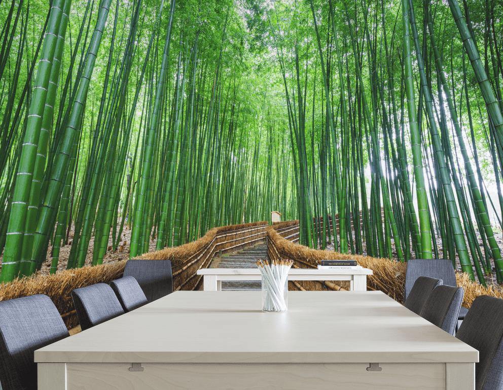 Bamboo grove Wall Mural-Wall Mural-Eazywallz