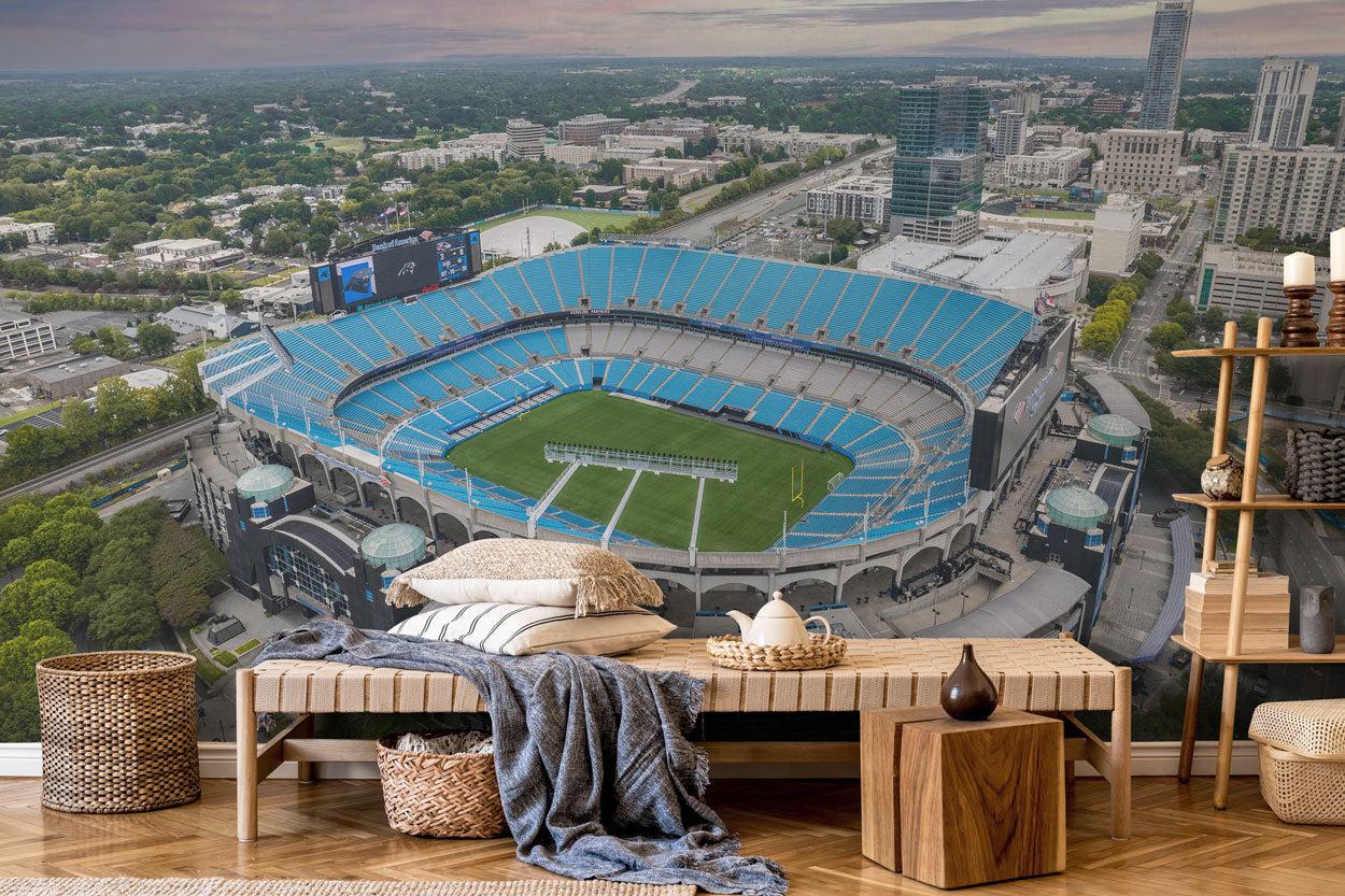 Bank of America Stadium Wall Mural-Wall Mural-Eazywallz