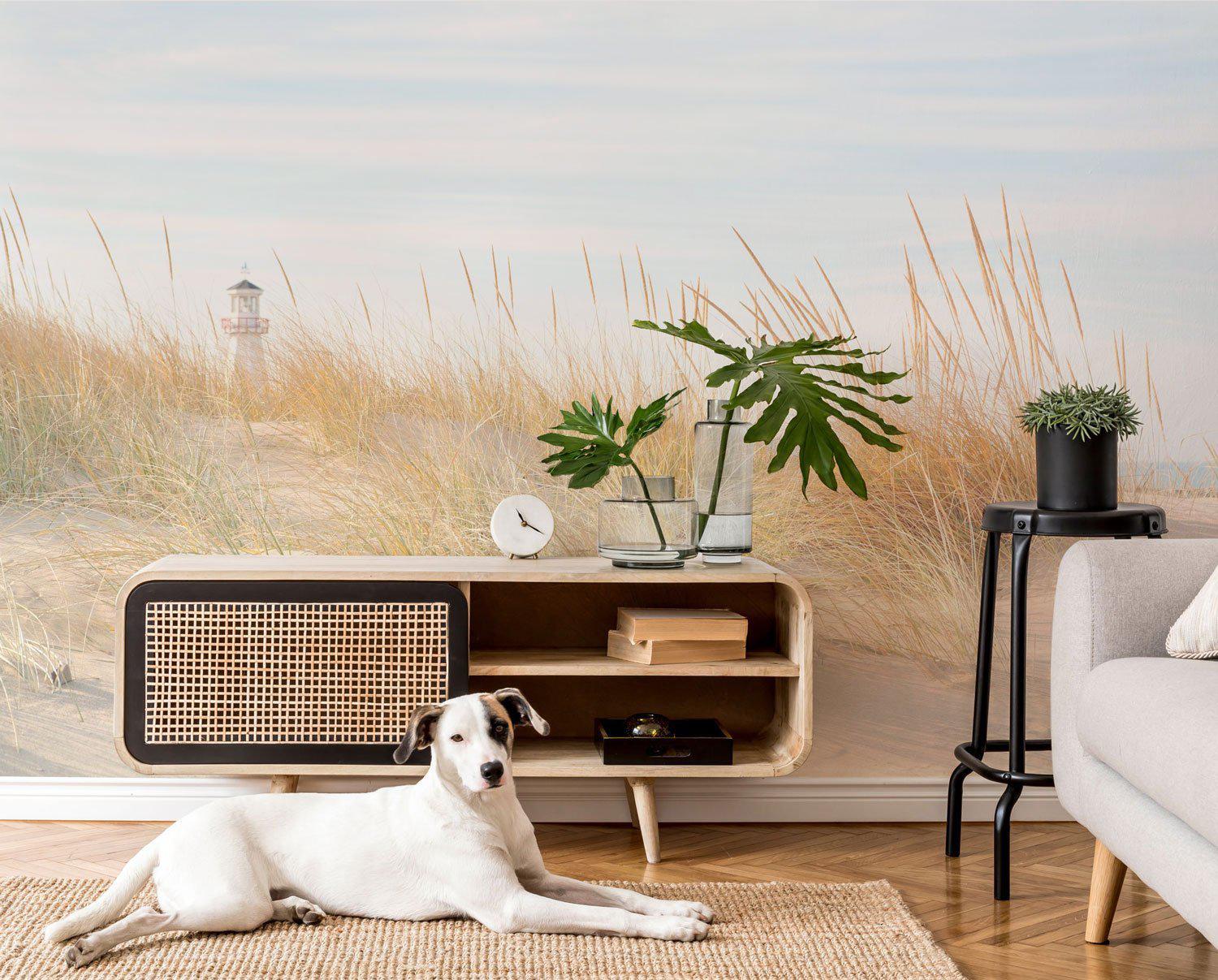 Beach Scene in Michigan Wall Mural-Wall Mural-Eazywallz