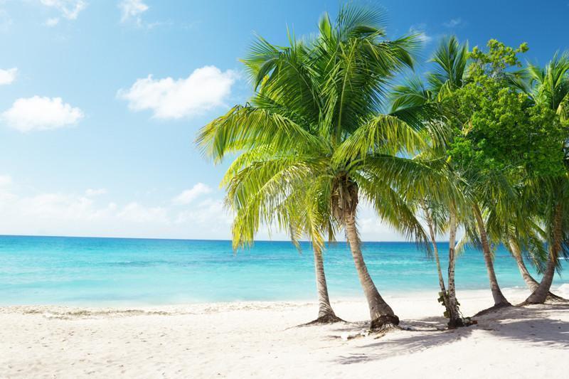 Beach in the Caribbean Wall Mural-Wall Mural-Eazywallz