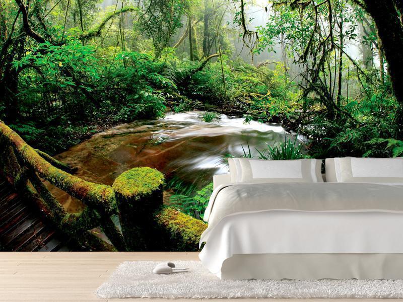 Beautiful rainforest Wall Mural-Wall Mural-Eazywallz