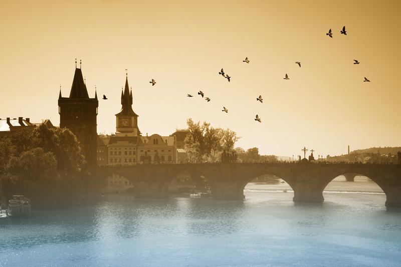 Birds over Charles Bridge in Prague Wall mural Wall Mural-Wall Mural-Eazywallz