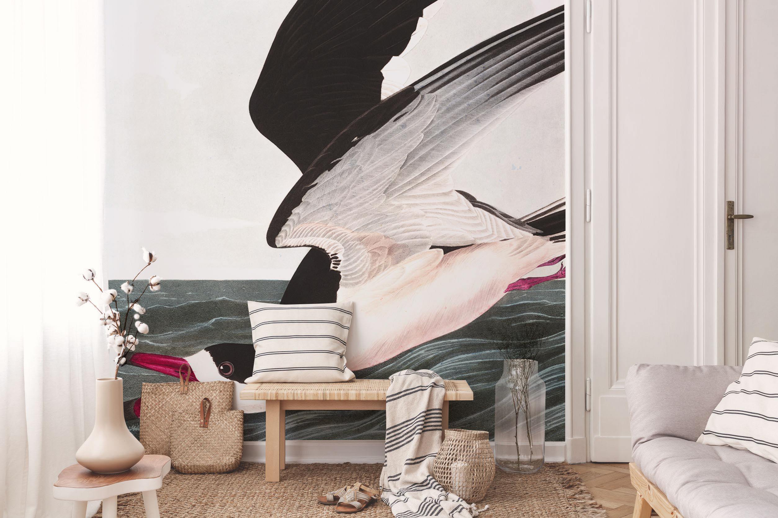 Black Skimmer Wall Mural-Wall Mural-Eazywallz