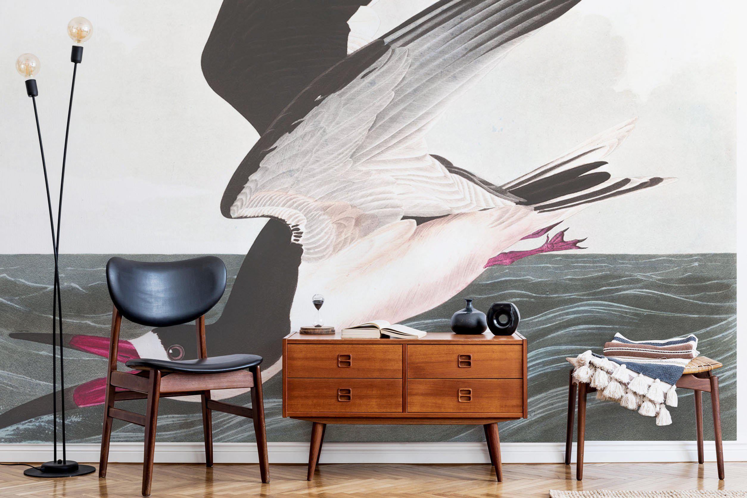 Black Skimmer Wall Mural-Wall Mural-Eazywallz