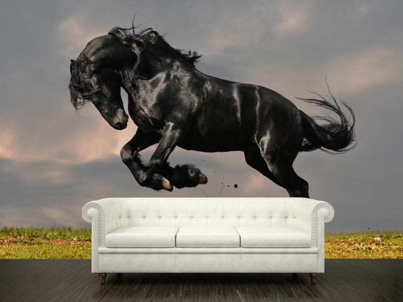 Black Stallion Wall Mural-Wall Mural-Eazywallz