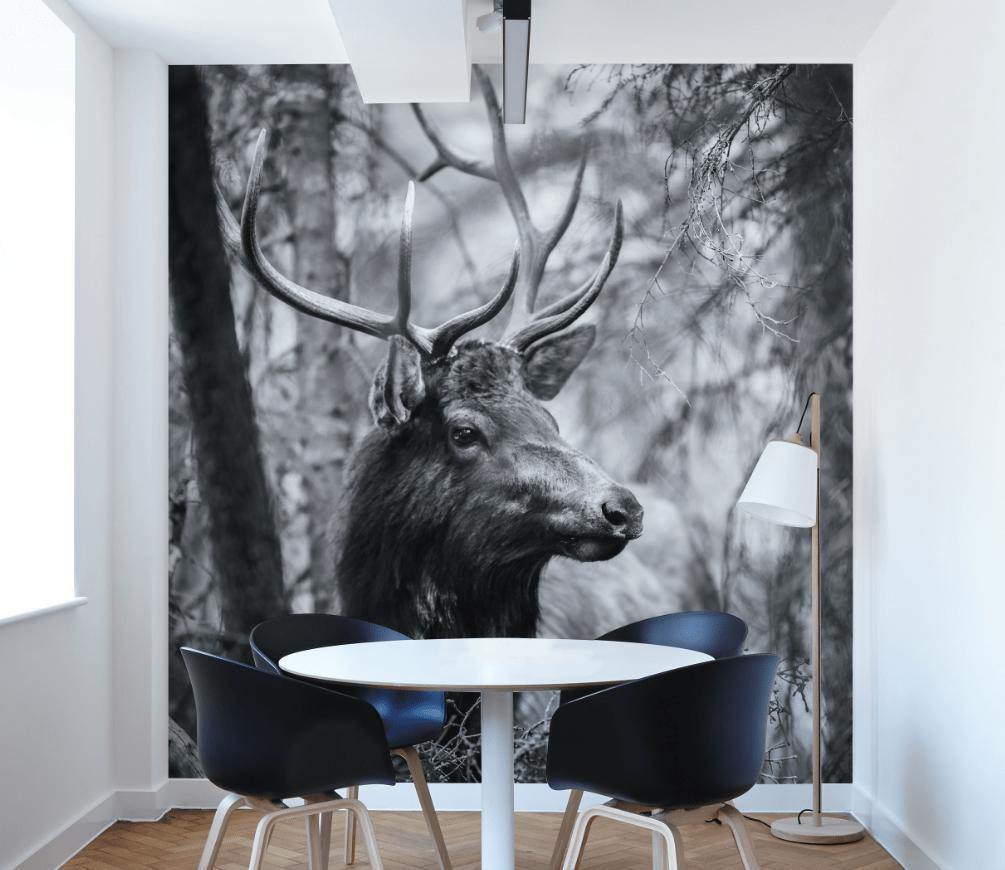 Black & White Deer in Forest Wall Mural-Wall Mural-Eazywallz