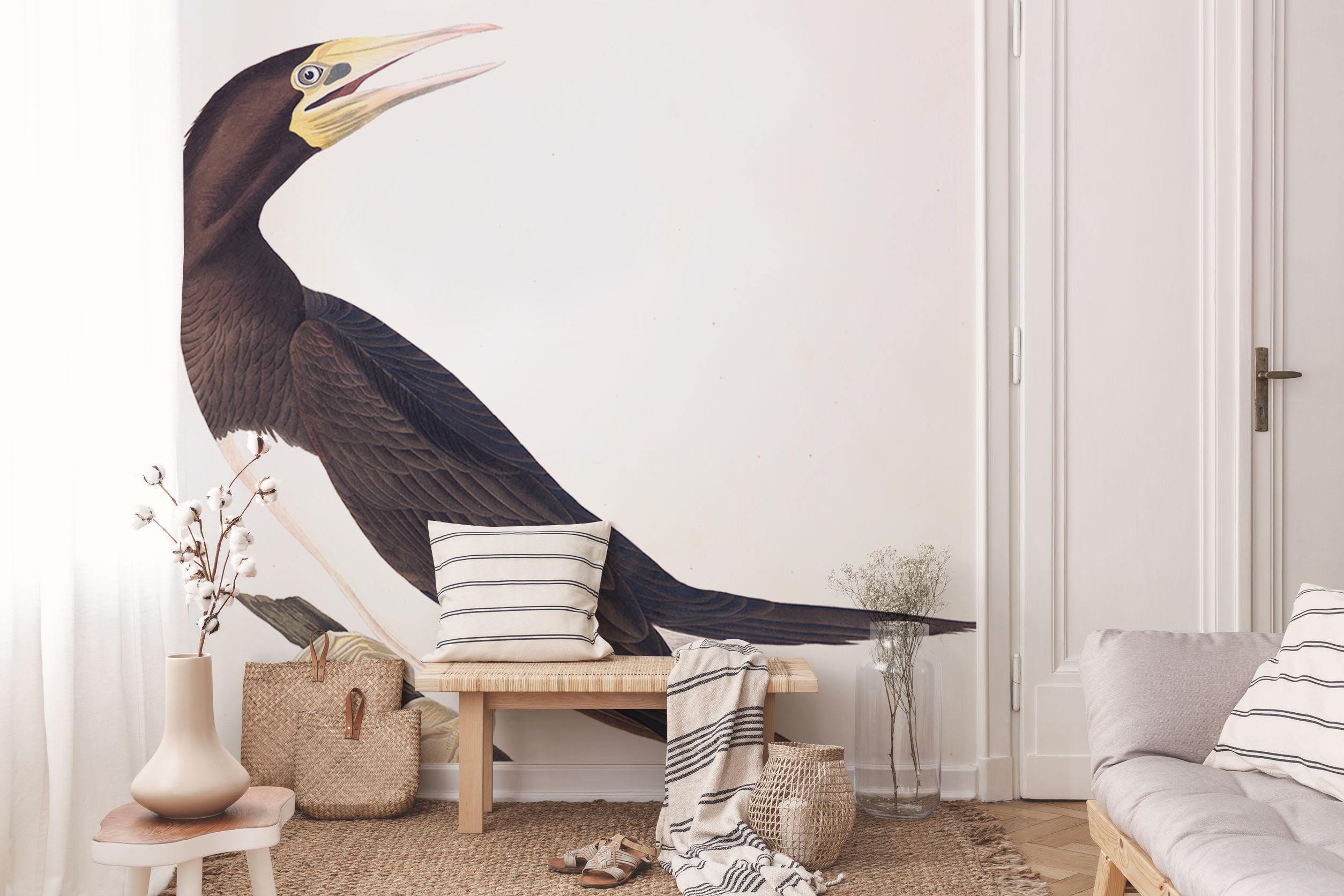 Booby Gannet Wall Mural-Wall Mural-Eazywallz