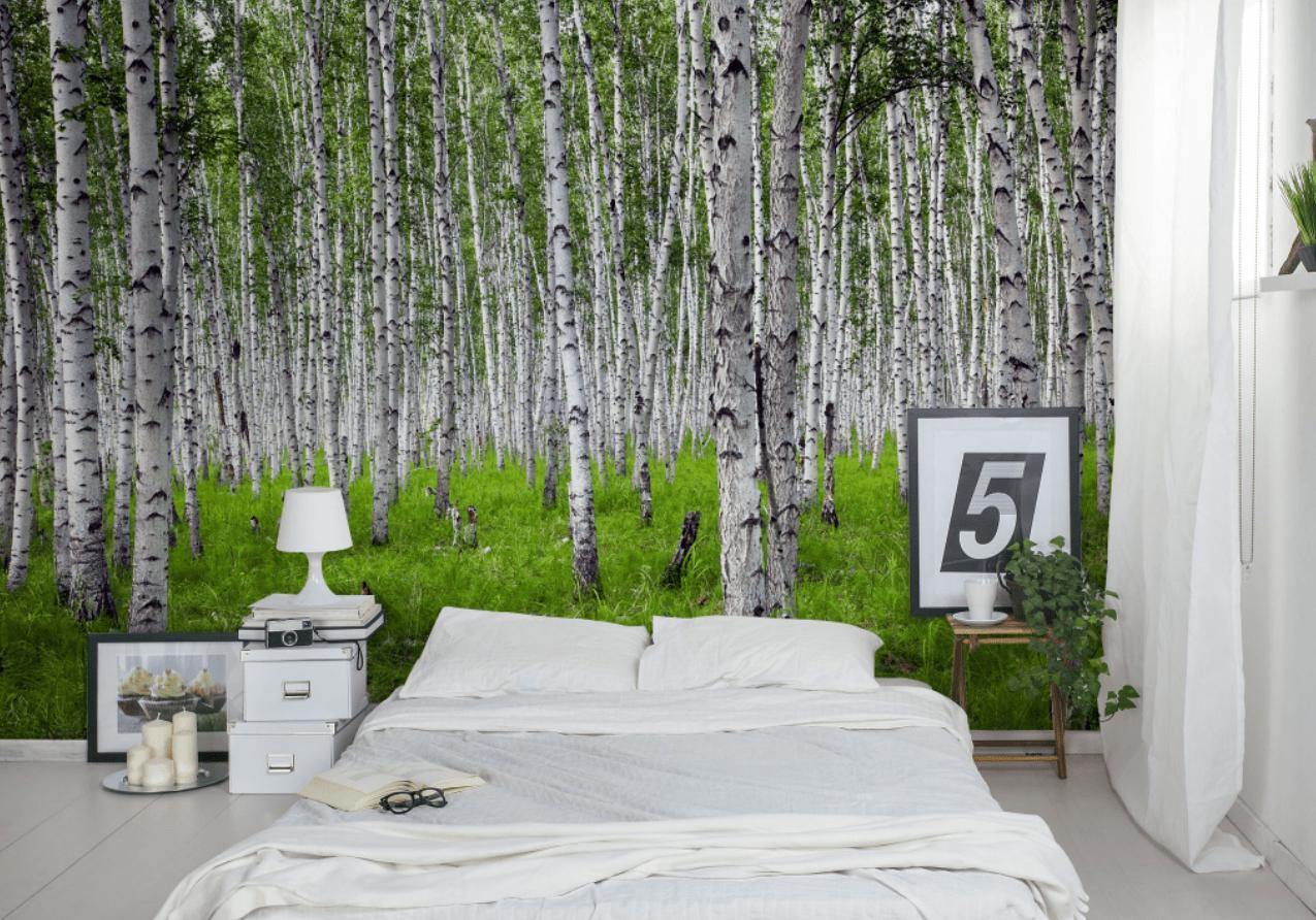 Bright Birch Forest Wall Mural-Wall Mural-Eazywallz