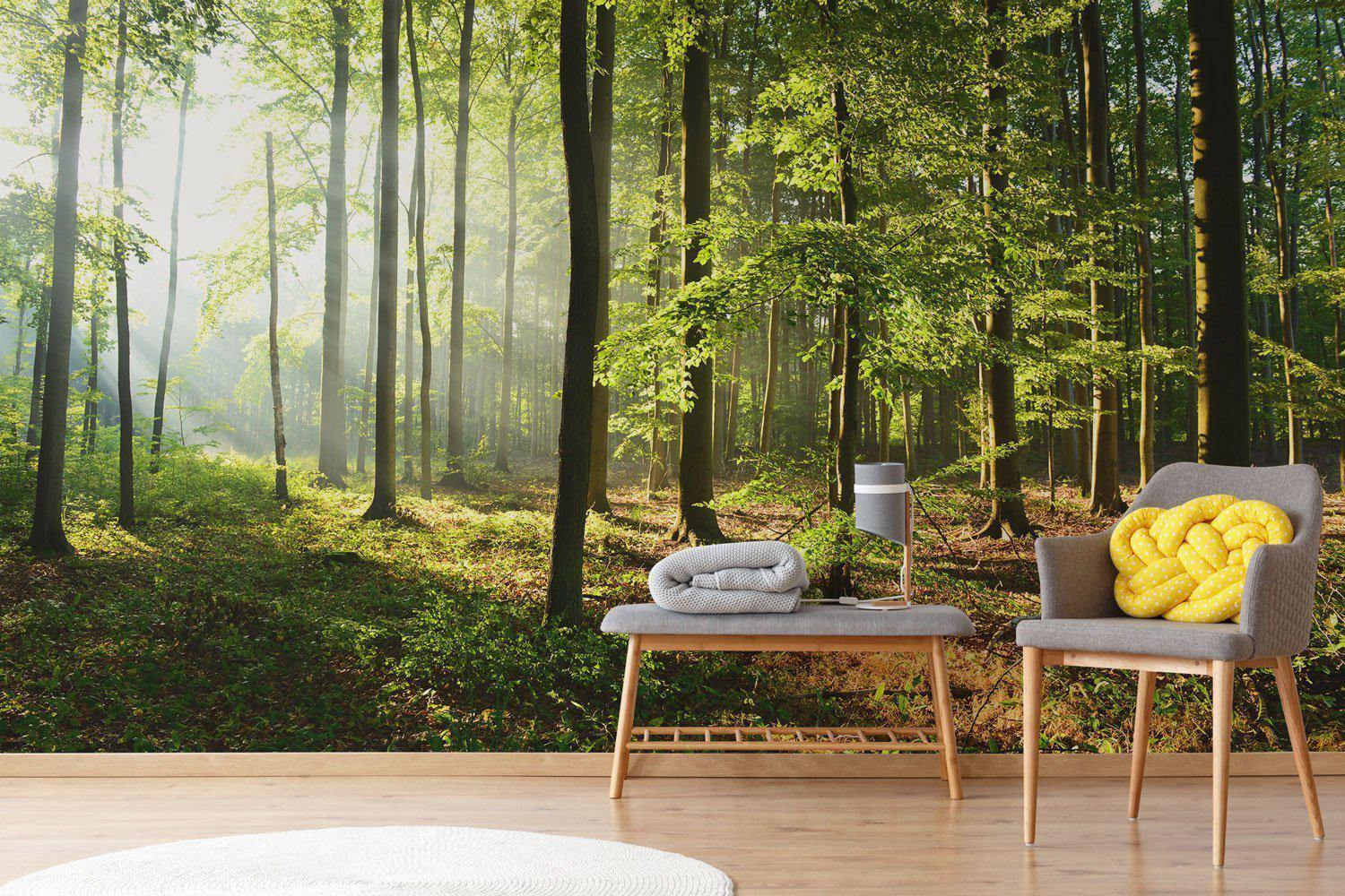 Bright Morning Forest Wall Mural-Wall Mural-Eazywallz