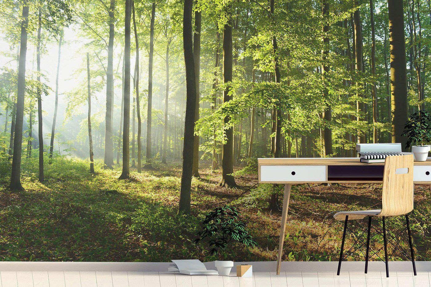 Bright Morning Forest Wall Mural-Wall Mural-Eazywallz