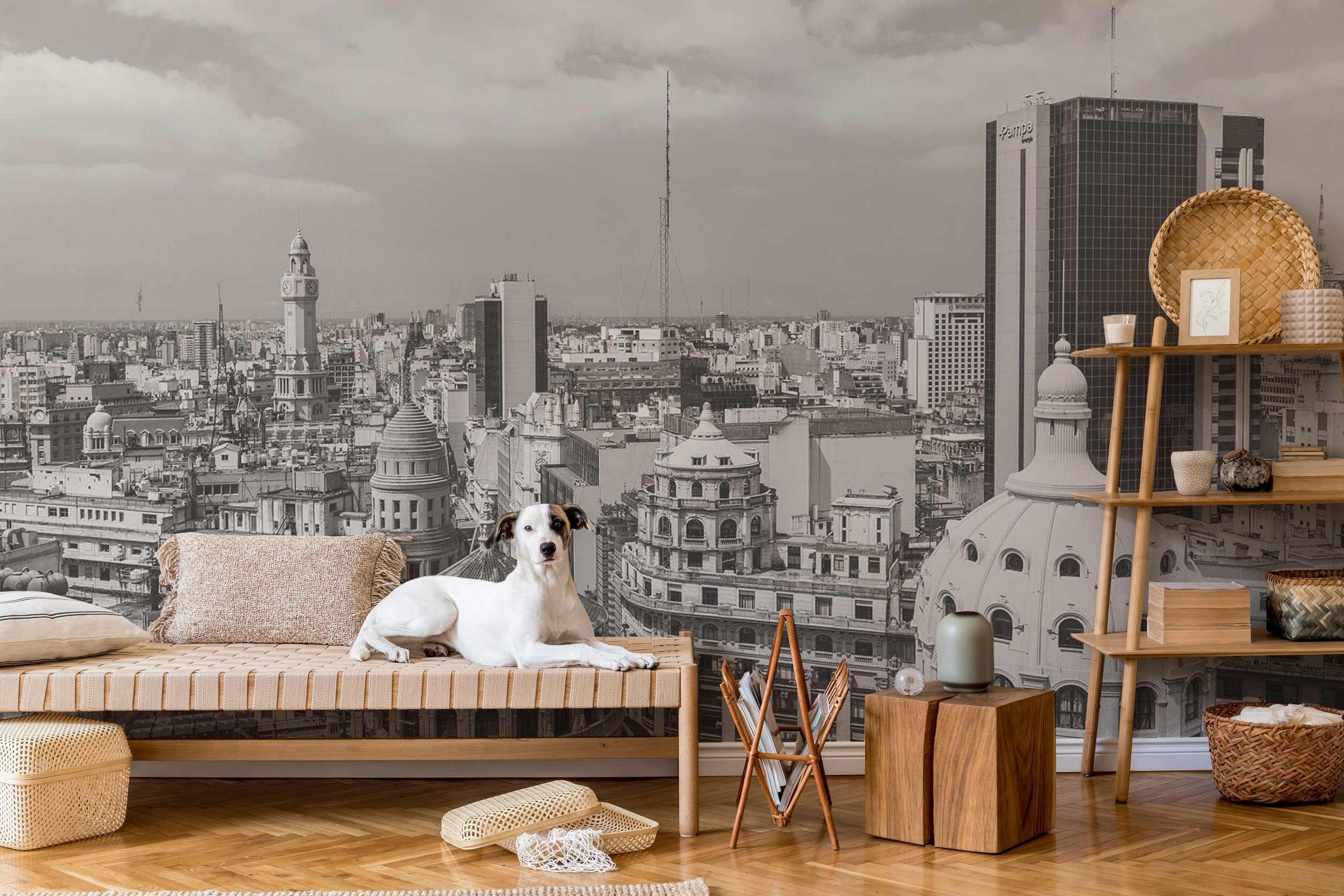 Buenos Aires City Wall Mural-Wall Mural-Eazywallz