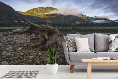 Buttle Lake in Strathcona Park Wall Mural-Wall Mural-Eazywallz