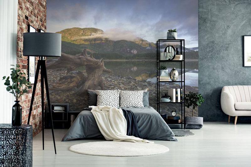 Buttle Lake in Strathcona Park Wall Mural-Wall Mural-Eazywallz