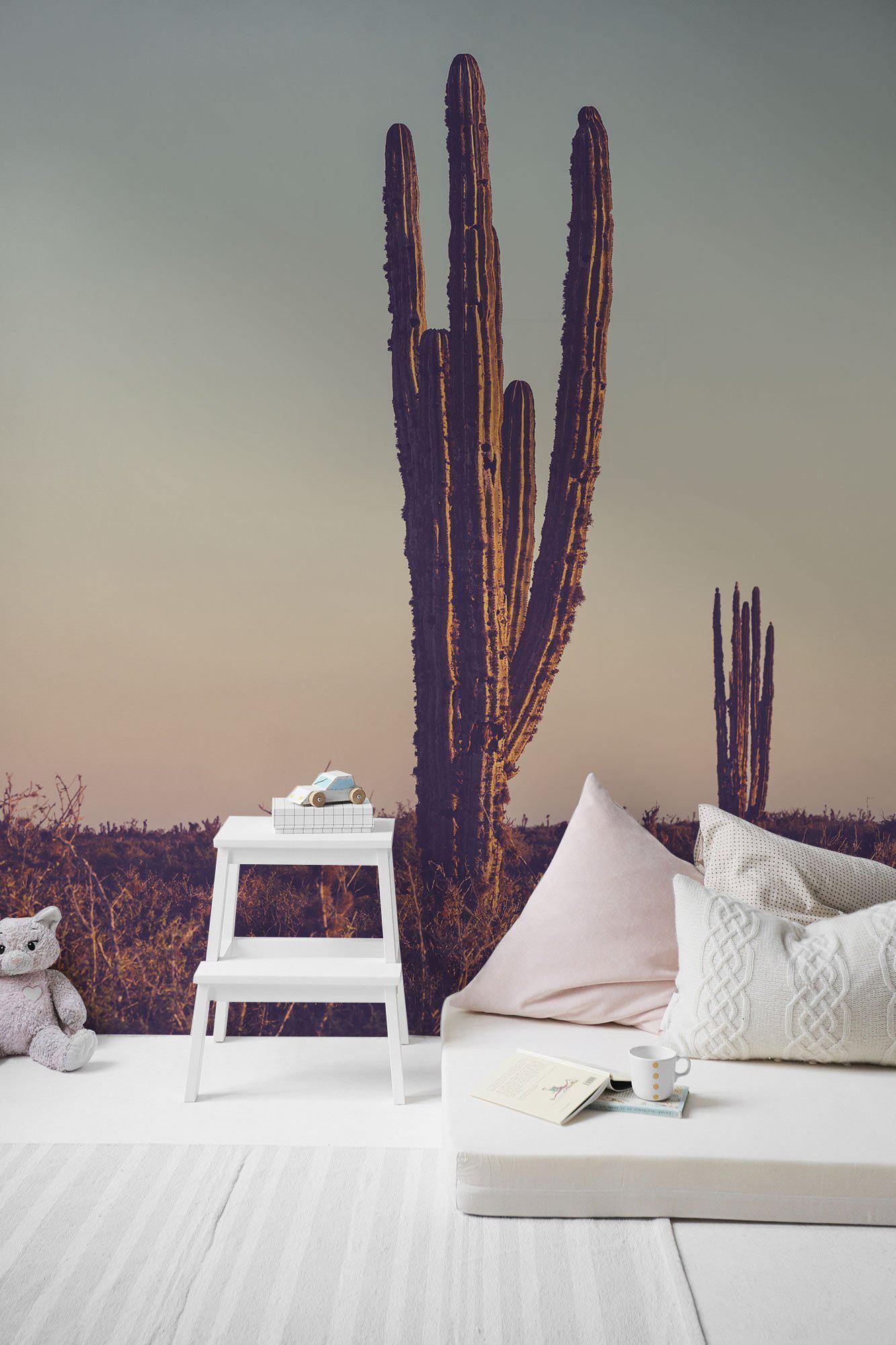 Cactus Under Sunset Wall Mural-Wall Mural-Eazywallz