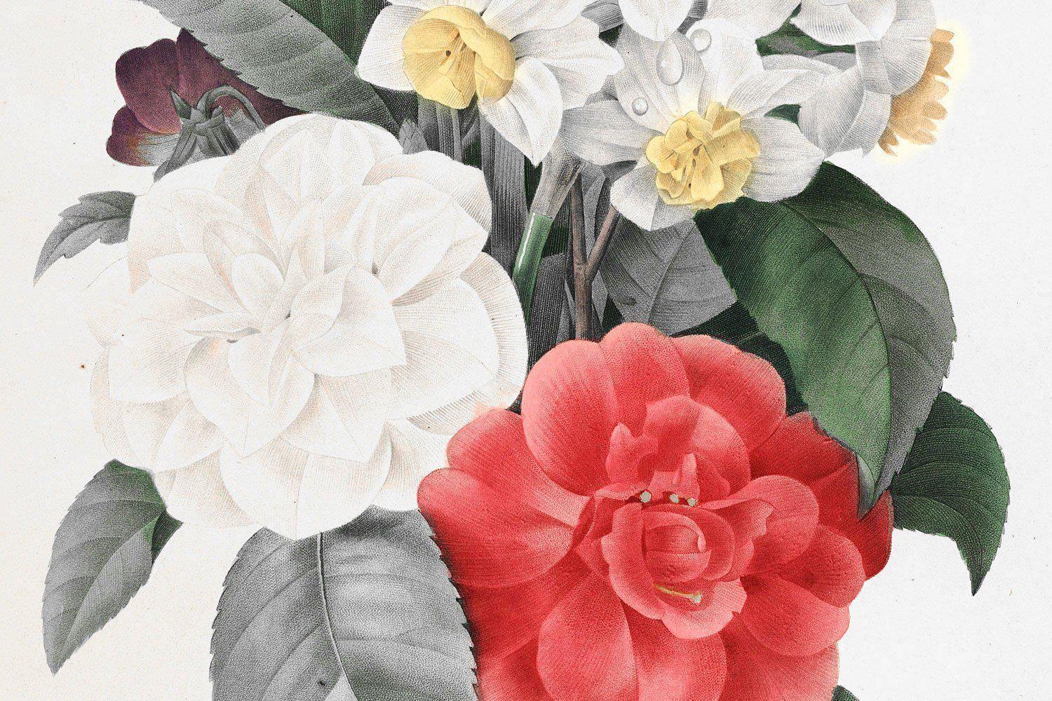 Camellia Narcissus Viola Bouquet Mural-Wall Mural-Eazywallz