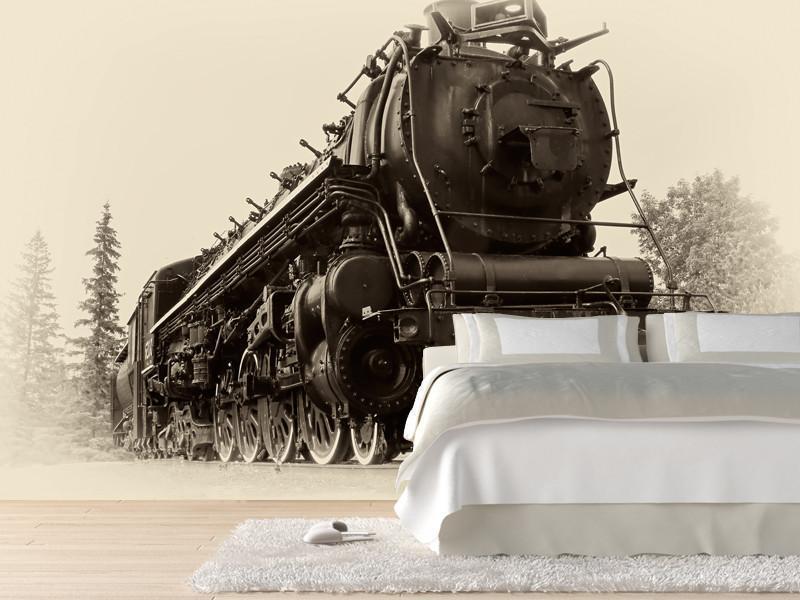 Canadian steam train Wall Mural-Wall Mural-Eazywallz