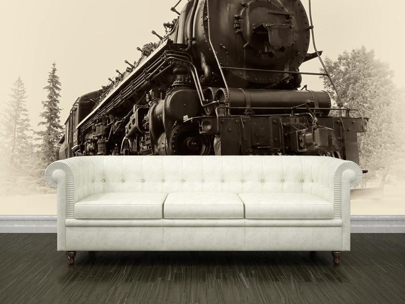 Canadian steam train Wall Mural-Wall Mural-Eazywallz