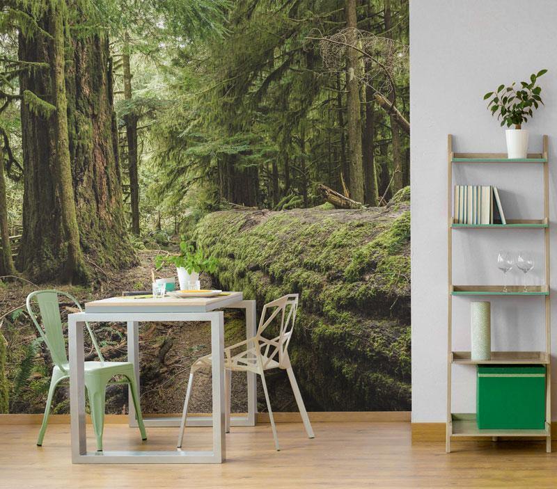 Cathedral Grove Forest Wall Mural-Wall Mural-Eazywallz