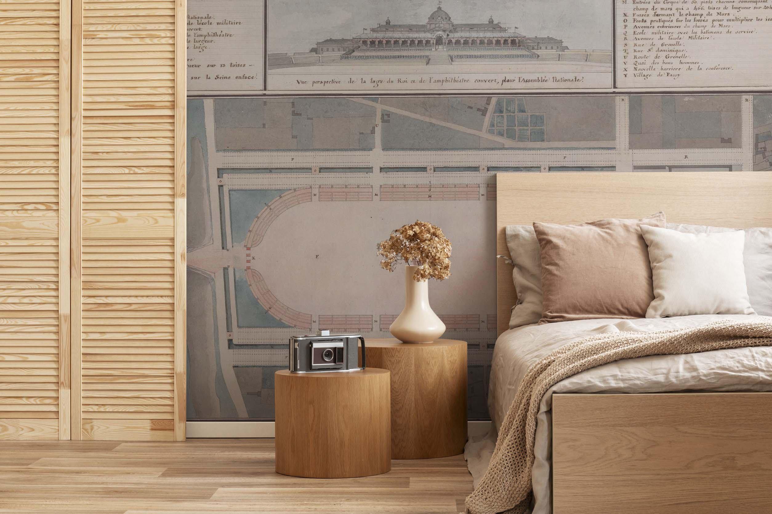 Châteaux Royaux Plans Wall Mural-Wall Mural-Eazywallz