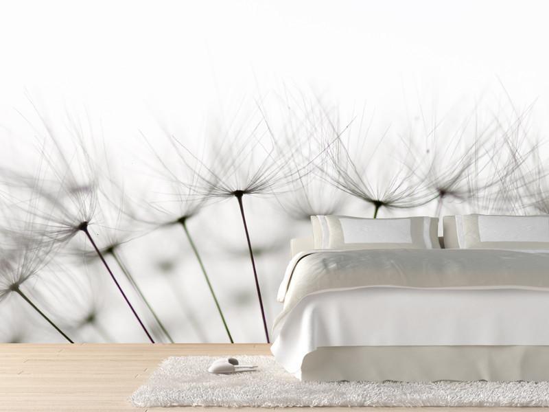 Dandelion seeds Wall Mural-Wall Mural-Eazywallz