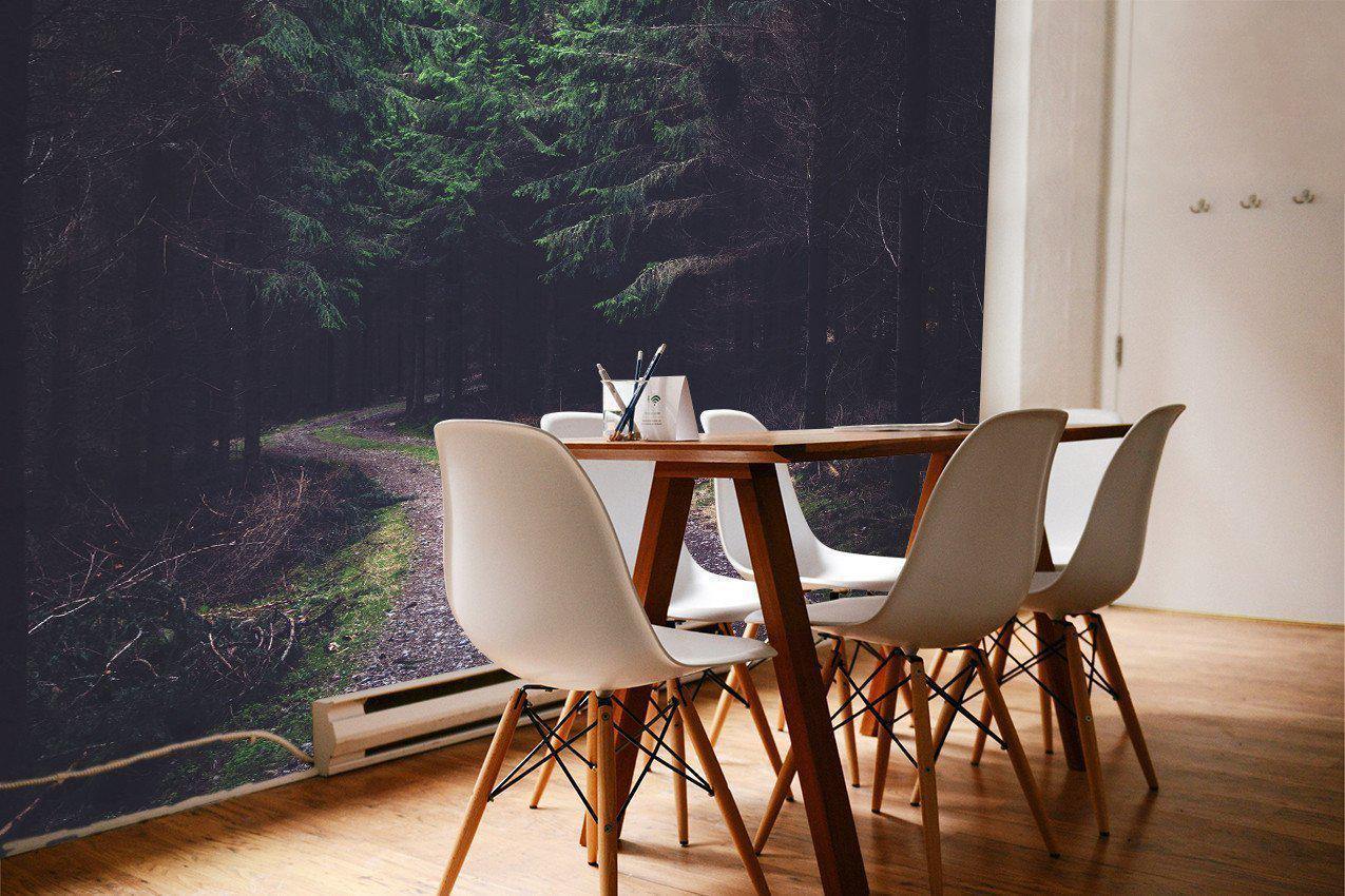 Dark Forest Trail Wall Mural-Wall Mural-Eazywallz