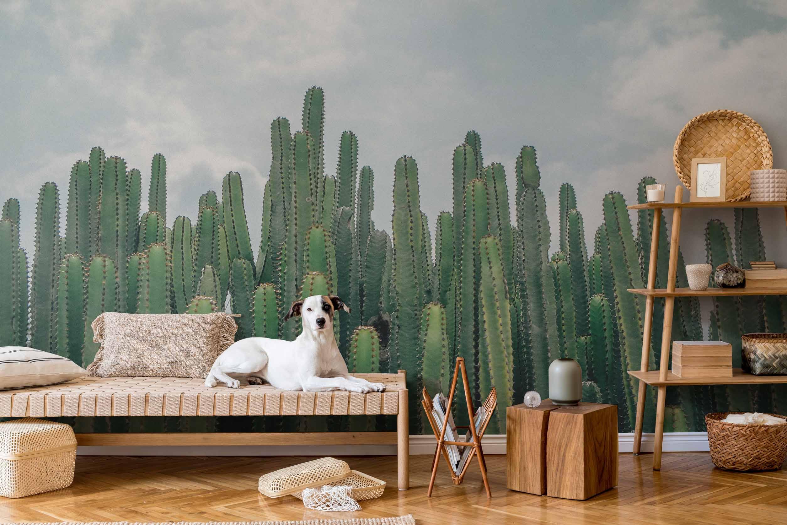 Desert Cactus Wall Mural-Wall Mural-Eazywallz
