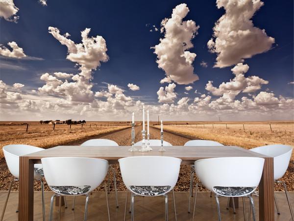 Desert Road Trip Wall Mural-Wall Mural-Eazywallz