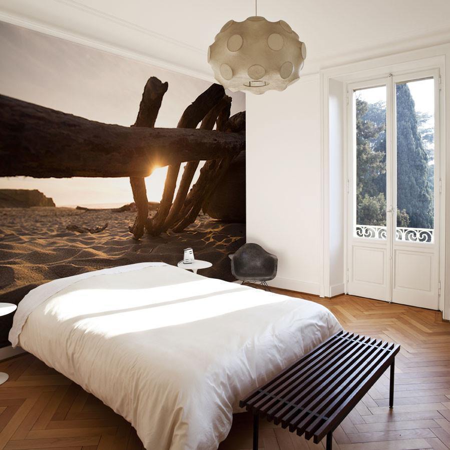 Driftwood at the Beach Wall Mural-Wall Mural-Eazywallz