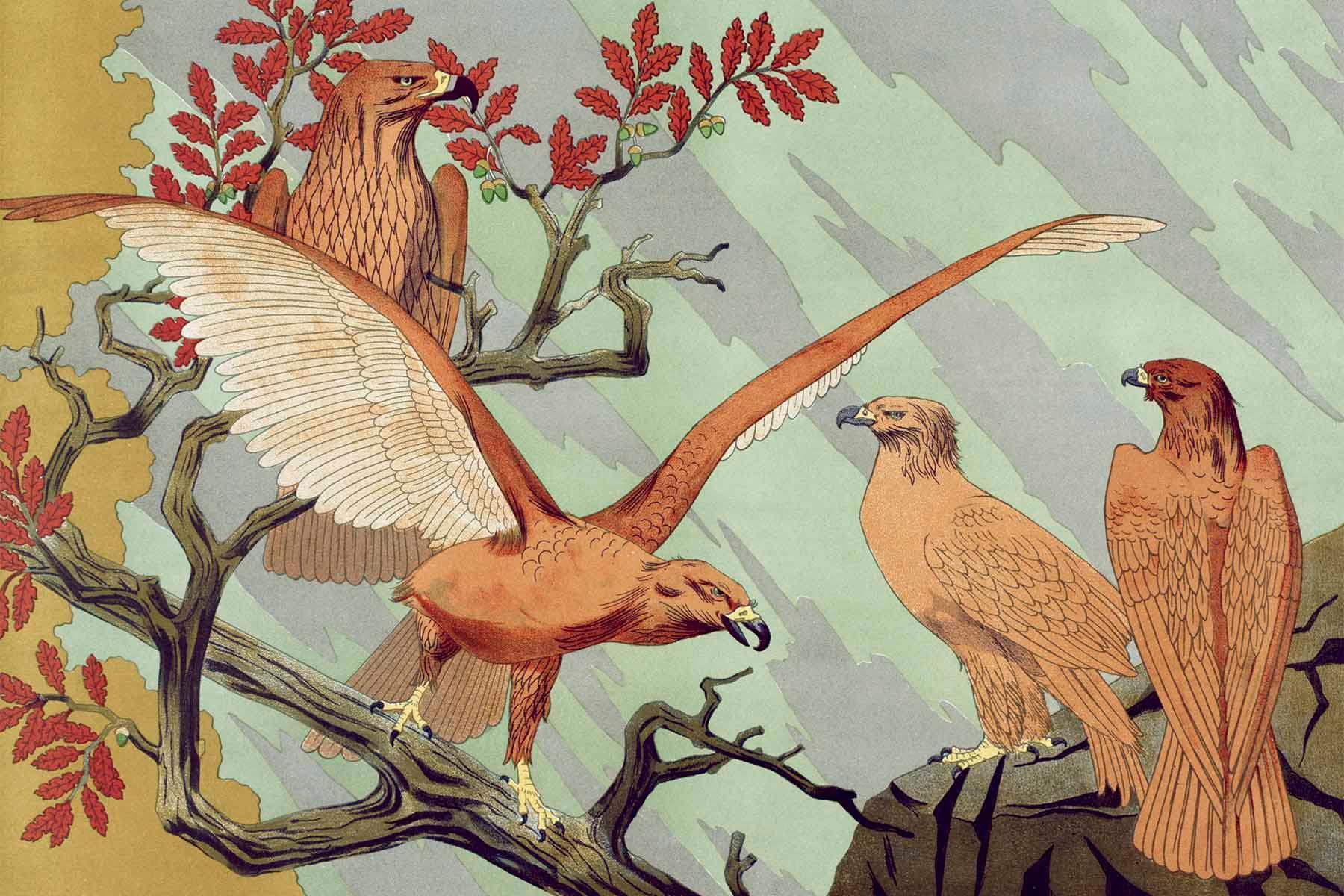 Eagle Animal Art Decor Wall Mural-Wall Mural-Eazywallz