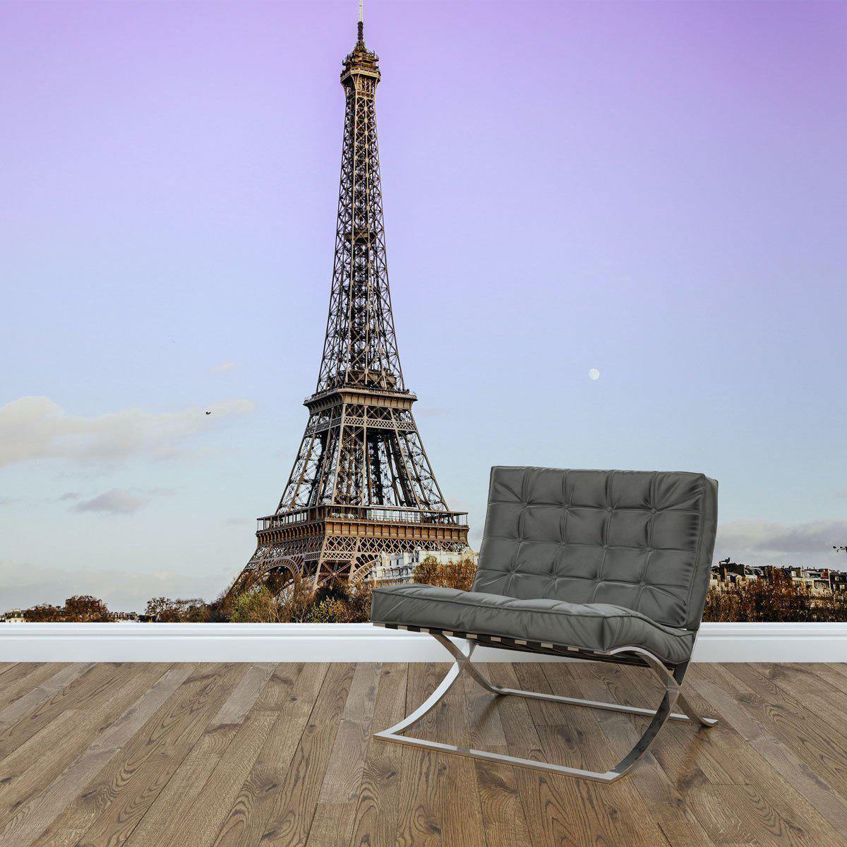 Eiffel Tower at Sunrise Wall Mural-Wall Mural-Eazywallz