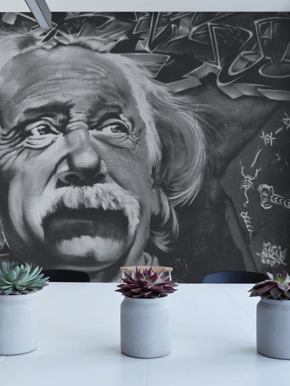 Einstein Street Art Wall Mural-Wall Mural-Eazywallz