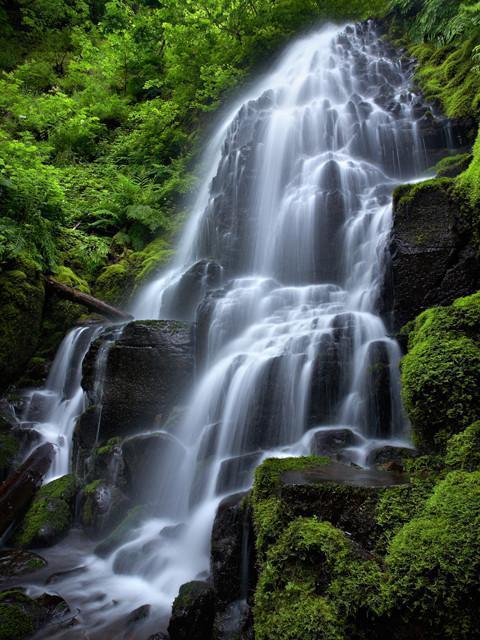 Fairy Falls Wall Mural-Wall Mural-Eazywallz