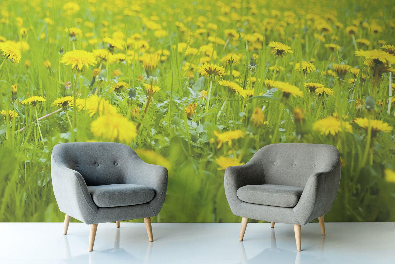 Field of Dandelions Wall Mural-Wall Mural-Eazywallz