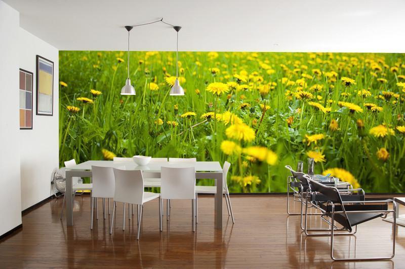 Field of Dandelions Wall Mural-Wall Mural-Eazywallz