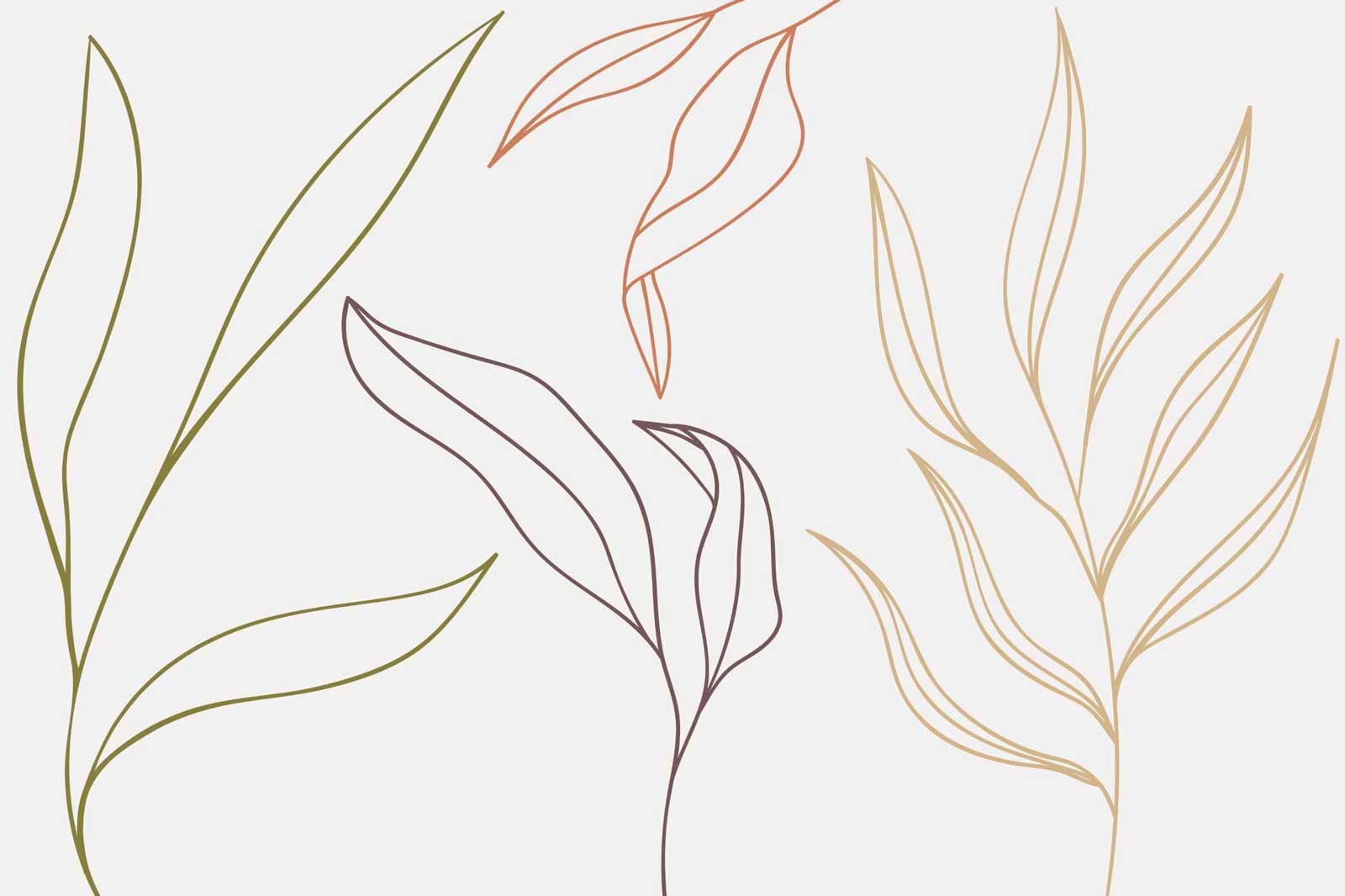 Floral Composition Wall Mural-Wall Mural-Eazywallz