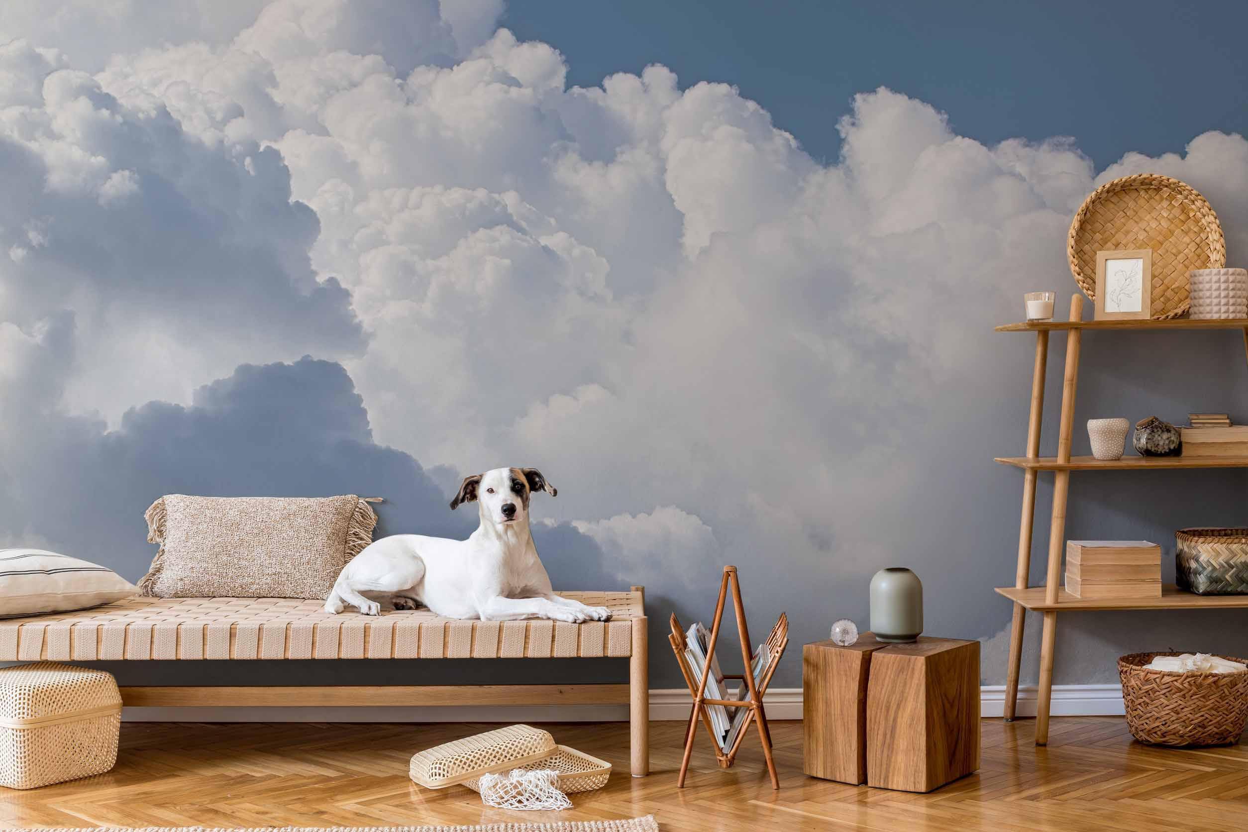 Fluffy Clouds Wall Mural-Wall Mural-Eazywallz