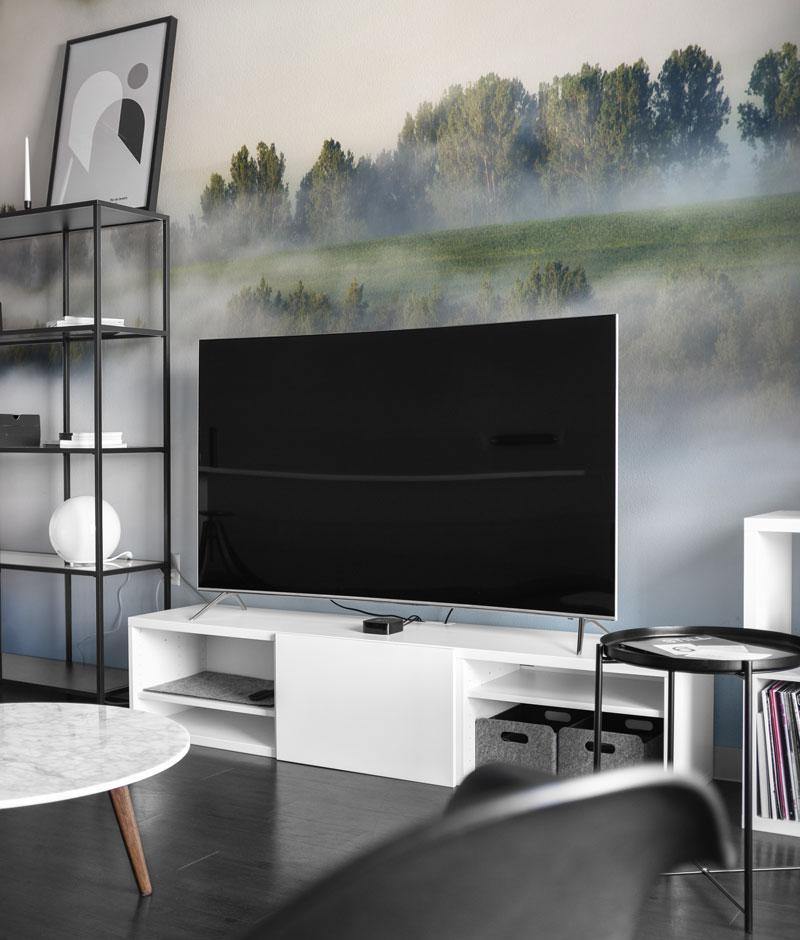 Fog & Fir Trees Wall Mural-Wall Mural-Eazywallz