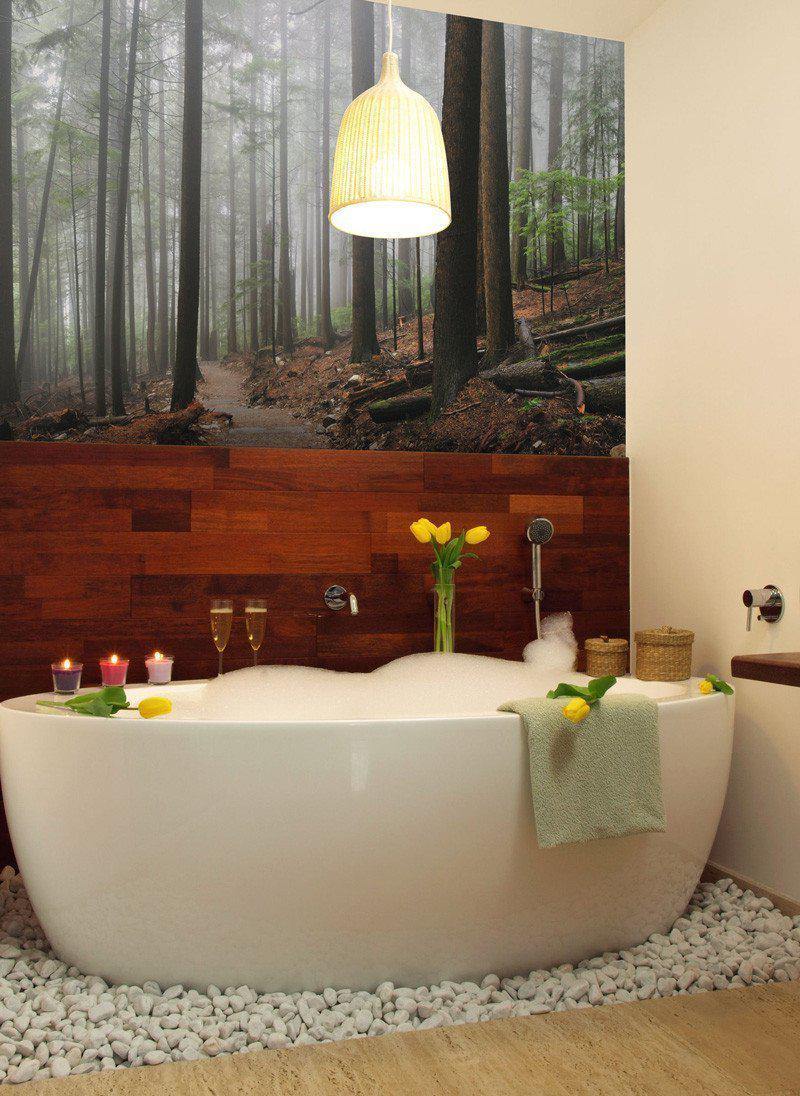 Foggy Forest & Hiking Trail Wall Mural-Wall Mural-Eazywallz