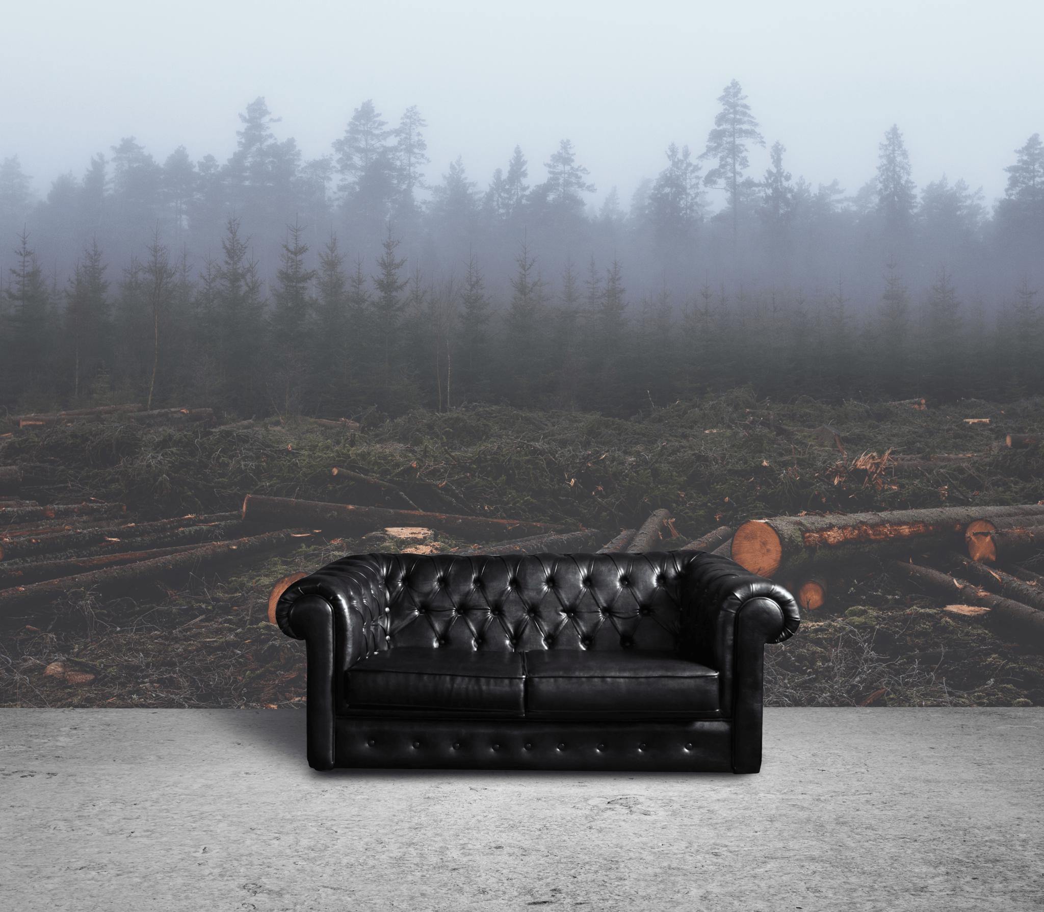 Foggy Lumber Forest Wall Mural-Wall Mural-Eazywallz