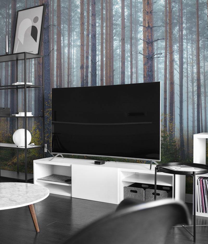 Foggy Morning Forest Wall Mural-Wall Mural-Eazywallz