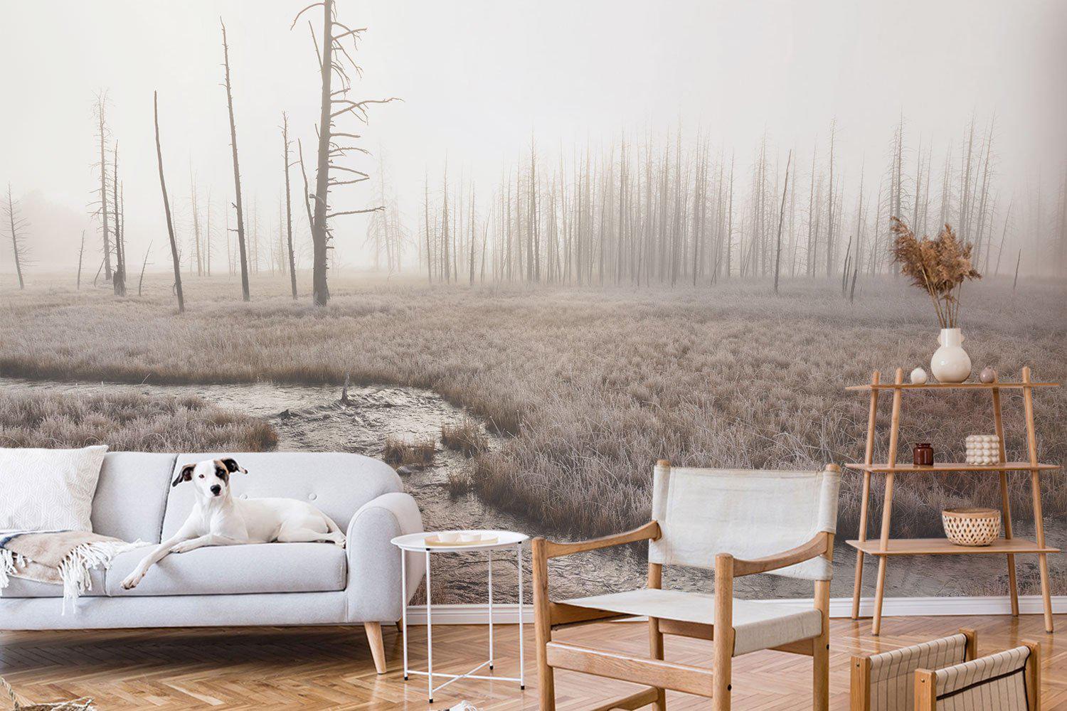 Foggy morning at Tangled Creek Wall Mural-Wall Mural-Eazywallz