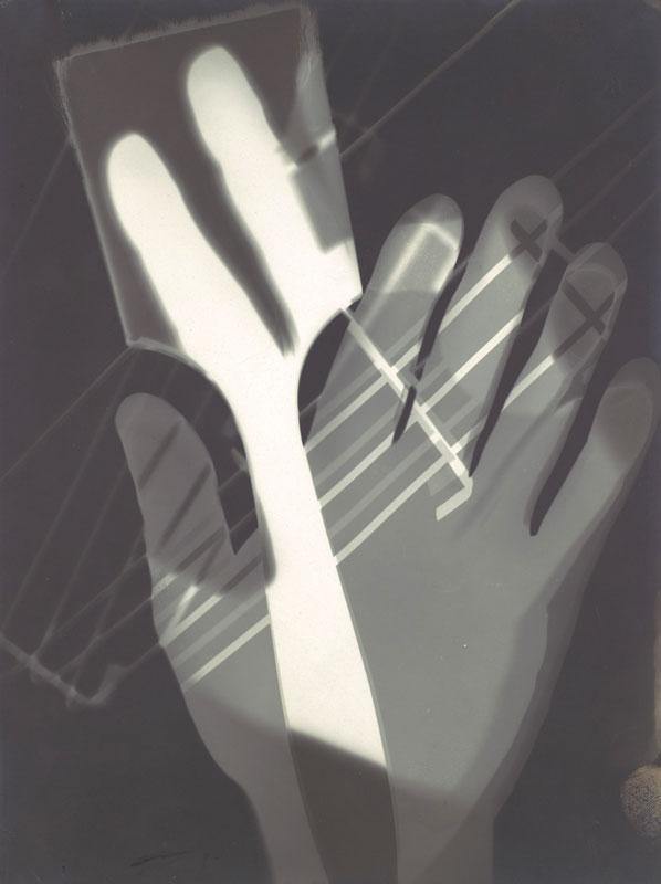 Fotogramm Mural Wallpaper-Wall Mural-Eazywallz