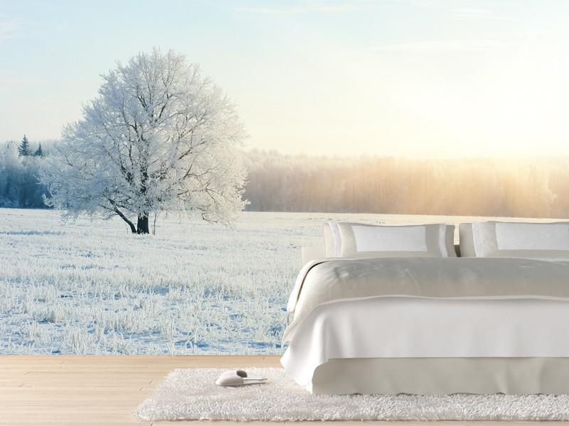 Frozen tree under sunlight Wall Mural-Wall Mural-Eazywallz