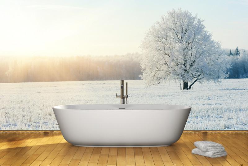 Frozen tree under sunlight Wall Mural-Wall Mural-Eazywallz