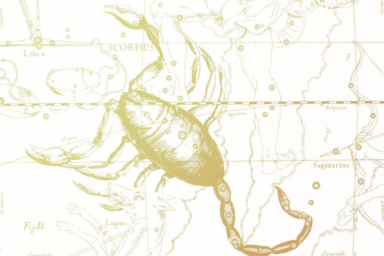 Gold Scorpio Astrology Wall Mural-Wall Mural-Eazywallz